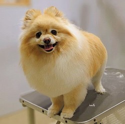 な
