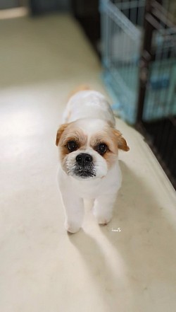 な