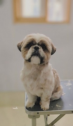 な