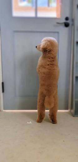 な