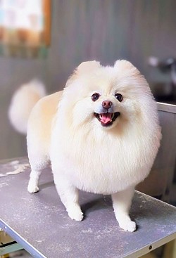な