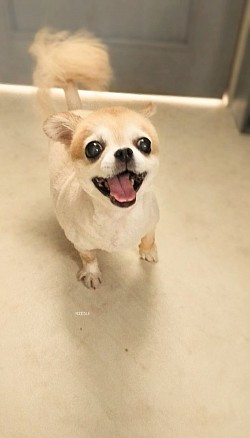 な