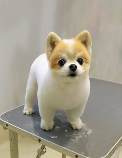 な
