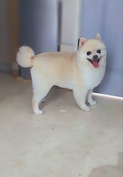 な