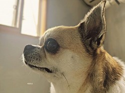 な