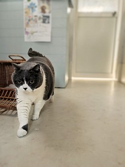 な