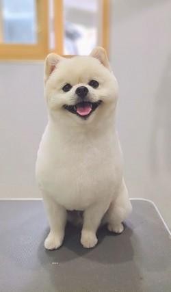 な