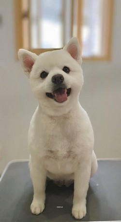 な