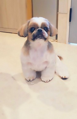 な