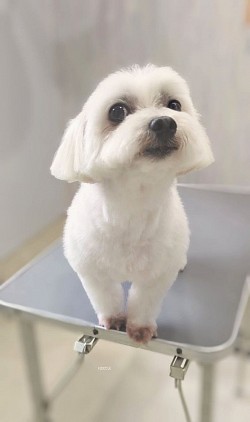 な