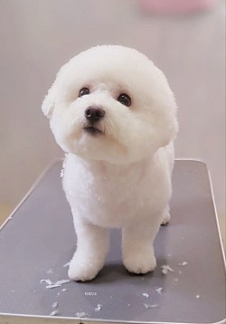 な