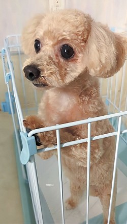 な