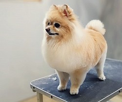 な