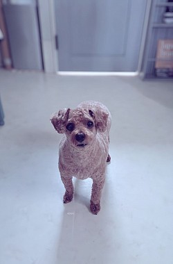 な