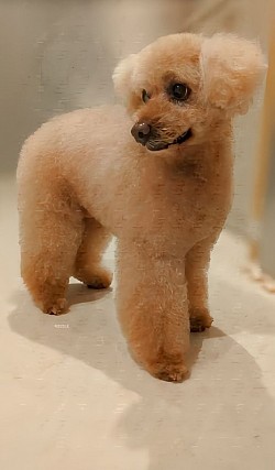 な