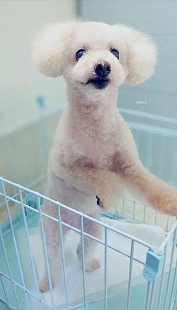な