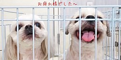 な
