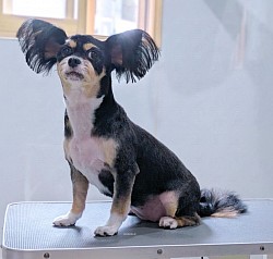 な