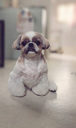 な