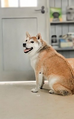 な