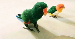 な