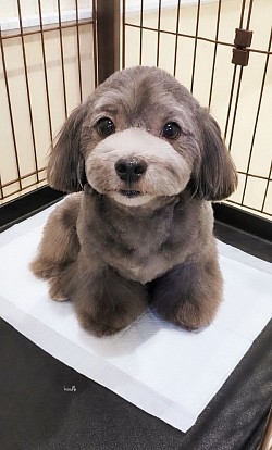 な