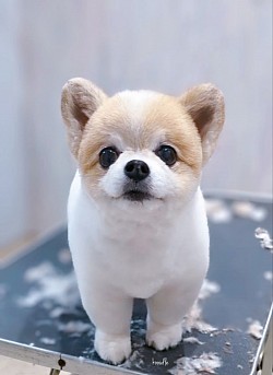 な